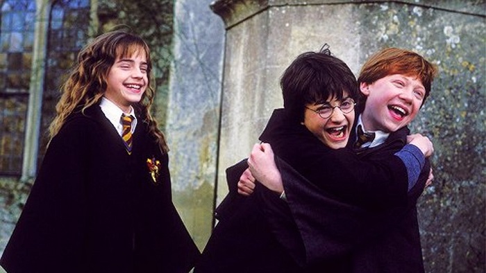 harry ron hermione friendship