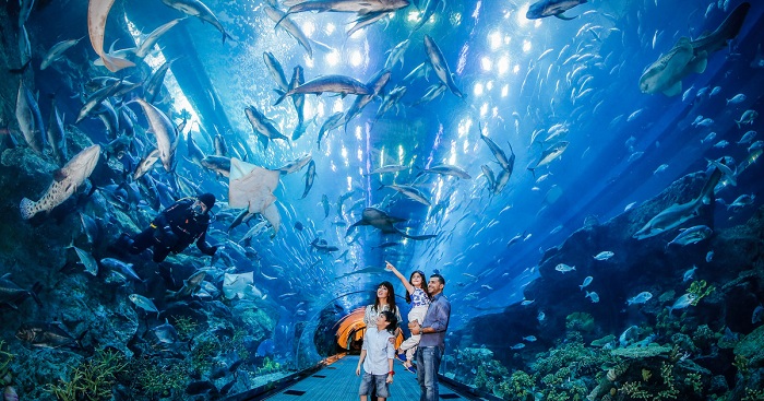 dubai_underwater_zoo_aquarium_verbena